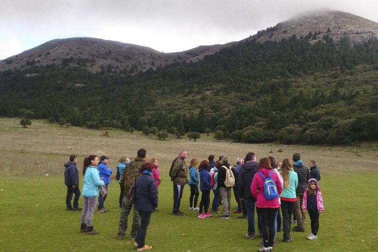 Baños en el bosque de pinsapos de La Nava, en pleno corazón de la Sierra de Las Nieves, toda una experiencia