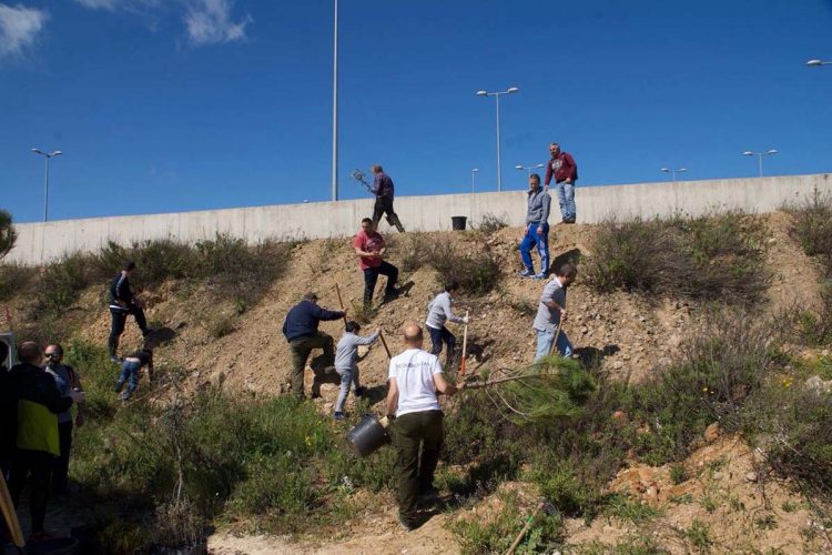 Medio Ambiente y Silvema volverán a repoblar con árboles autóctonos el entorno del nuevo Hospital