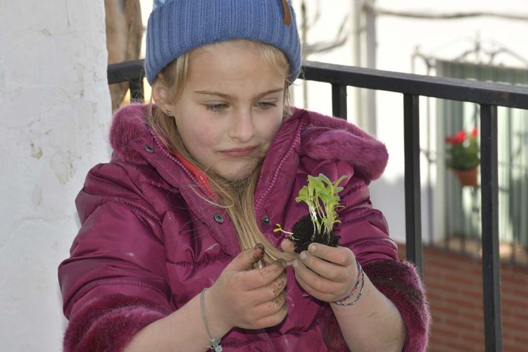 Los alumnos del colegio rural Alto Genal de Faraján crean un huerto escolar