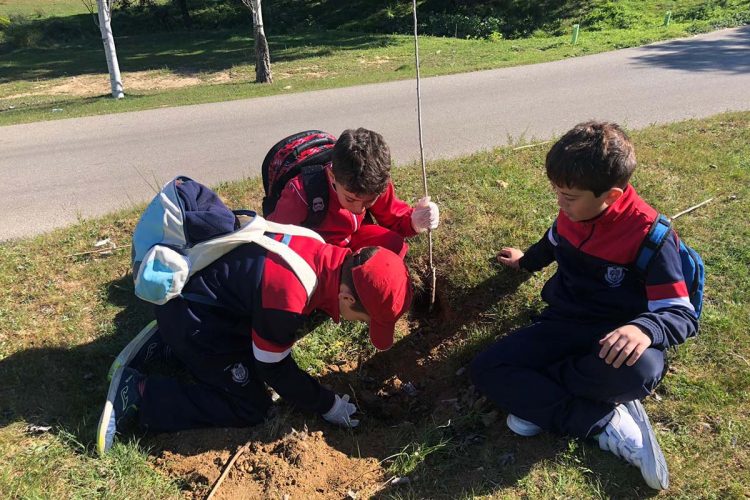 Medio Ambiente organiza una repoblación en el parque periurbano de La Dehesa con estudiantes del colegio Juan de la Rosa