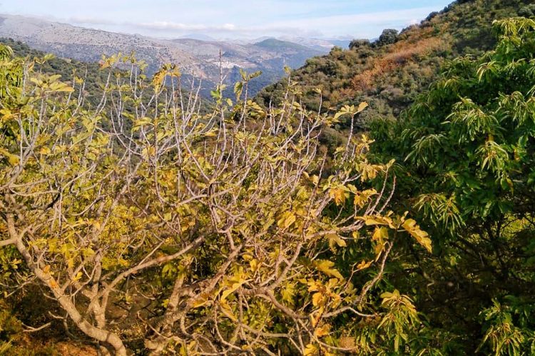 El paisaje de mi infancia tuvo nombre