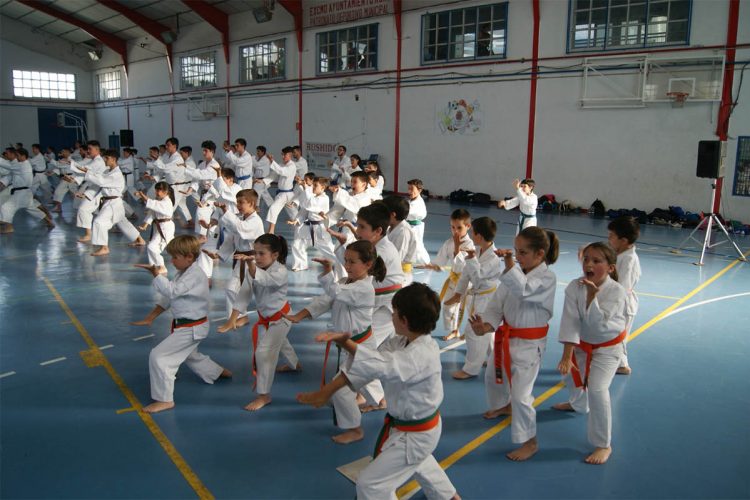 El Club de Kárate Bushido cierra la temporada con su gala deportiva en la que han participado más de cien alumnos