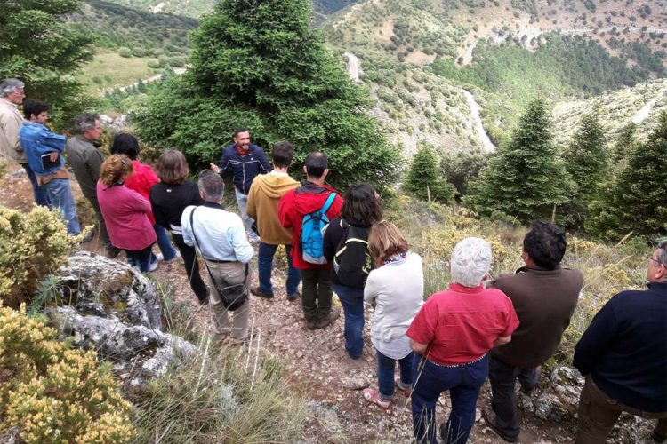 Treinta expertos participan en las III Jornadas de Trabajo de Paisaje de la Serranía de Ronda de la Asociación Española de Geografía