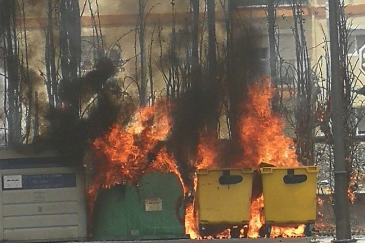 Un incendio calcina veinte cipreses, numerosos contenedores y afecta a un vehículo estacionado