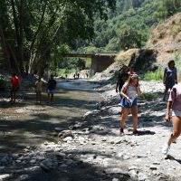 Ecologistas en Acción denuncia la «deforestación continuada» en la ribera del río Genal