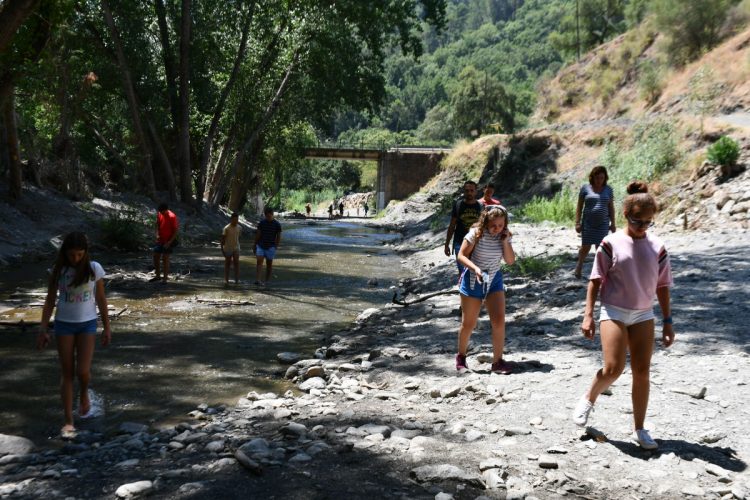 Los ecologistas alertan de que el río Genal «está abocado a morir si no se remedia»