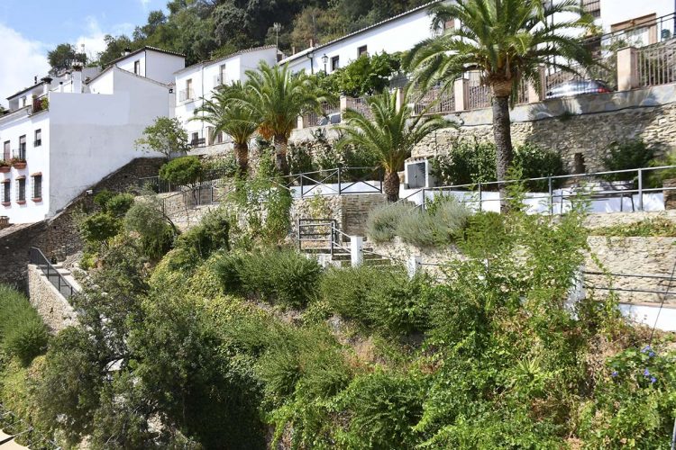 Benalauría finaliza la adecuación del jardín vertical de la plaza del pueblo