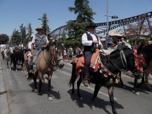 Caballos procedentes de Pruna.