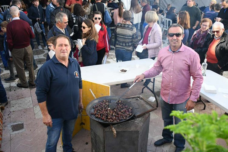 Pujerra se prepara para celebrar su XVII Fiesta de la Castaña