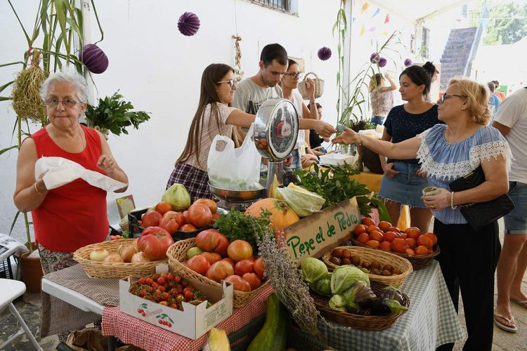 Alimentos y recetas del mes de febrero