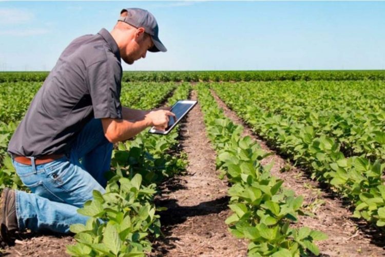 Los jóvenes del Guadiaro recibirán formación sobre cultivos para recuperar espacios agrícolas y asentar a la población