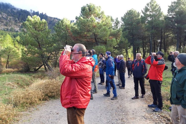 Jornada de sensibilización ambiental sobre aves carroñeras y ganadería en Parauta