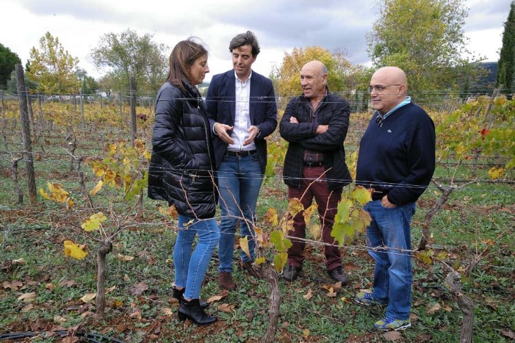 Elecciones Nacionales 10N: Pablo Montesinos destaca que el mejor aliado del campo rondeño es el PP