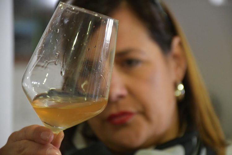 Centenares de personas disfrutaron con la XV edición de la Cata del Vino de Cartajima