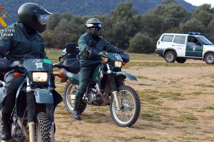 La Guardia Civil denuncia a tres cazadores furtivos que se querían cobrar cabezas de corzos y venados en Cortes de la Frontera