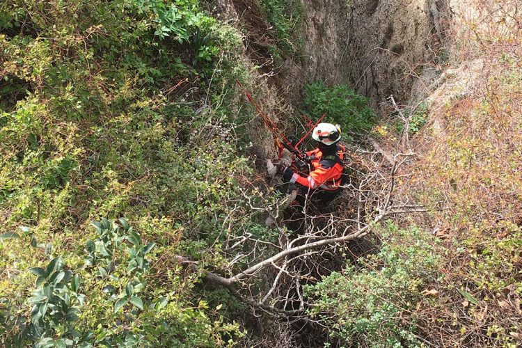 Los bomberos rescatan a ‘Lolo’, un perro que se precipitó por una de las grietas del Tajo cuando perseguía a un gato