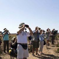 Montejaque celebra la III edición del Andalucía Bird Festival del 17 al 19 de abril