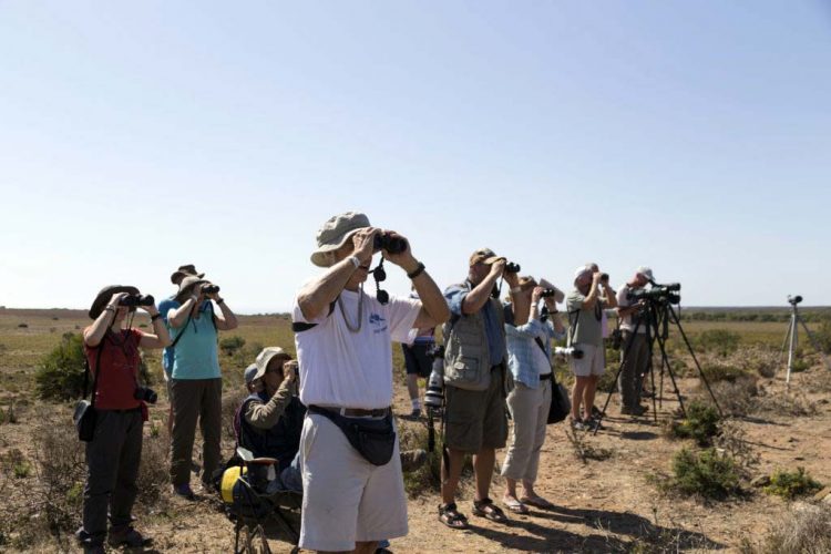 La Diputación de Málaga edita dos nuevas publicaciones para promocionar el avistamiento de aves en la Serranía