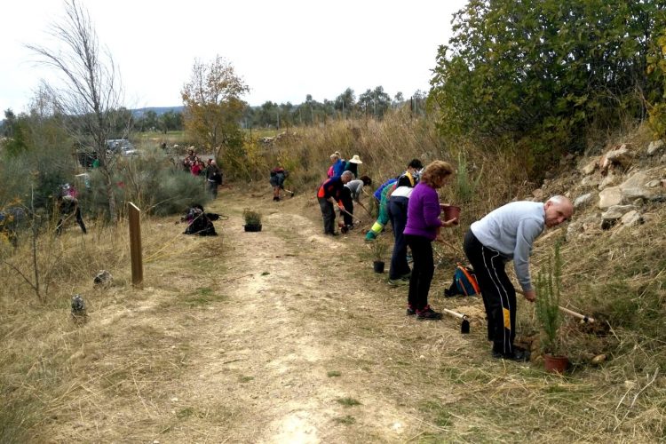 La Diputación realizará plantaciones participativas para recuperar espacios degradados y zonas verdes en Alpandeire