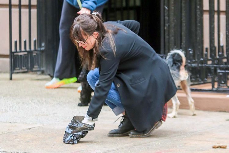 Campaña para perseguir a los dueños de mascotas que no recogen los excrementos