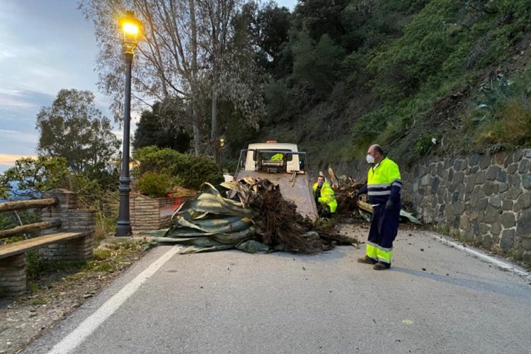 La Diputación restablece la entrada a Genalguacil tras un desprendimiento por las lluvias