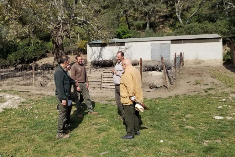 Ronda y Cortes de la Frontera mejorarán las medidas de seguridad en los alcornocales de Los Montes de Propios