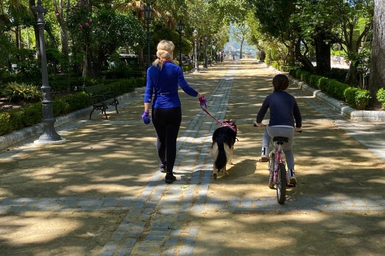 Licitan la mejora de los jardines de la Plaza Duquesa de Parcent, y Alameda y Blas Infante