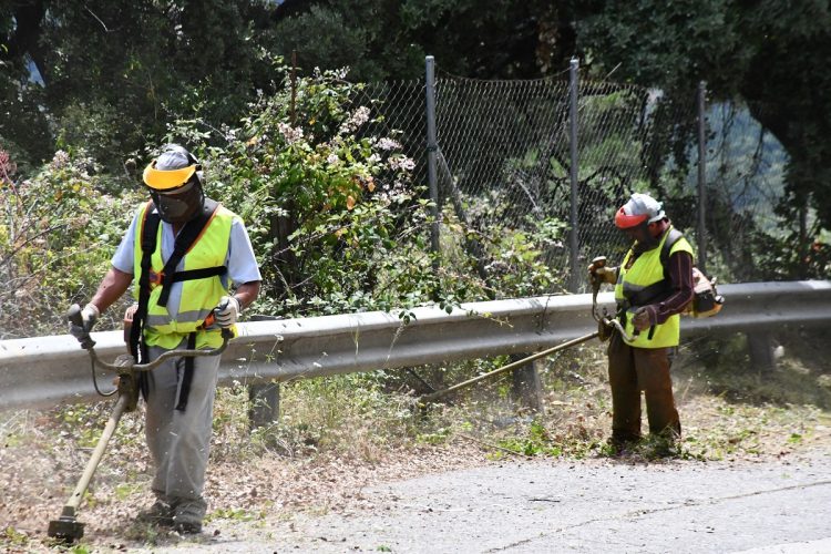 El Ayuntamiento saca a concurso los trabajos de desbroce de las calles de Ronda