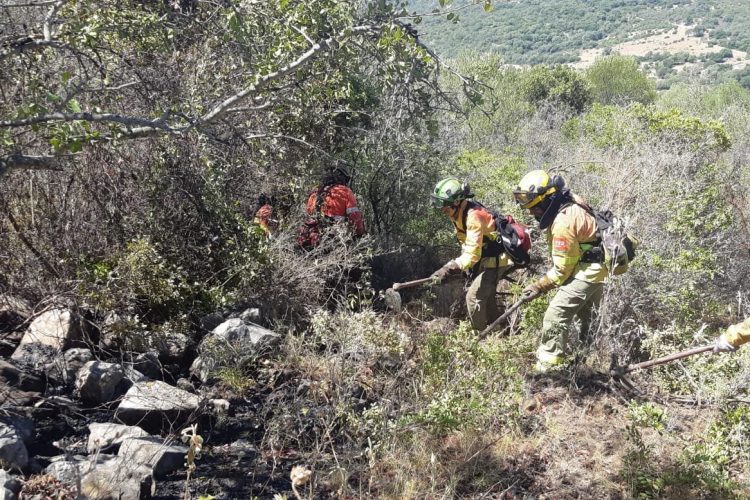 Efectivos del Plan Infoca logran estabilizar un incendio declarado este sábado en el término de Gaucín