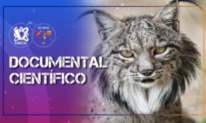 Documental Científico, una de las 5 categorías de la Bienal.