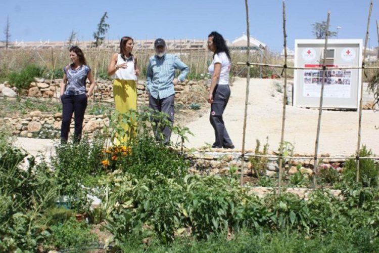 El Ayuntamiento y la Cruz Roja renuevan el convenio para la gestión de los huertos sociales urbanos