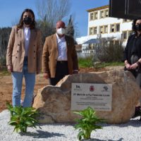 Se ha procedido a colocar la primera piedra y una cápsula del tiempo con la prensa del día, monedas de curso legal, un escrito firmado por la regidora .