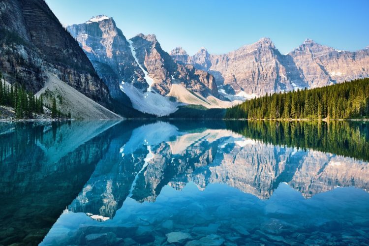 Canadá, partida y destino de las mejores semillas de cannabis para climas fríos