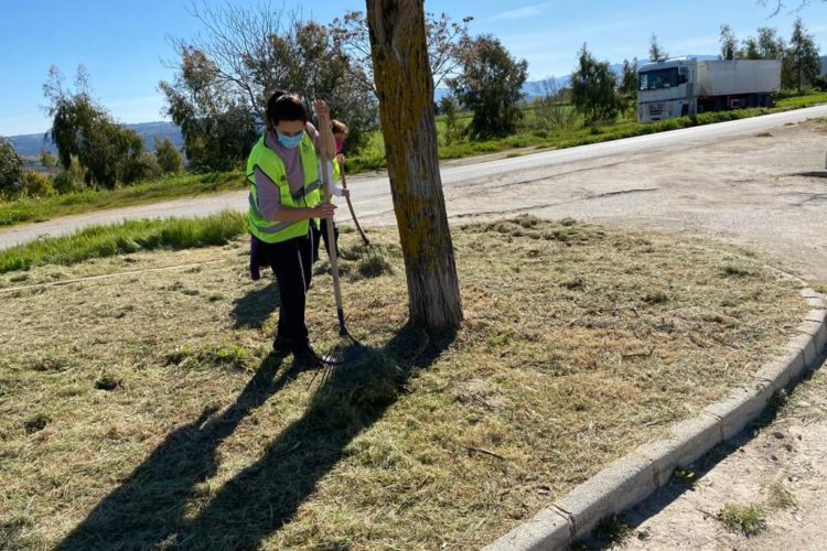 Sacan a concurso público los trabajos de desbroce en Ronda durante tres meses