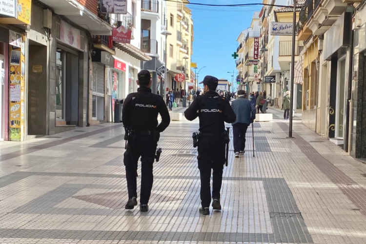 La Policía Nacional detiene a un joven por robar cuatro ruedas de un coche e intentar venderlas por Internet