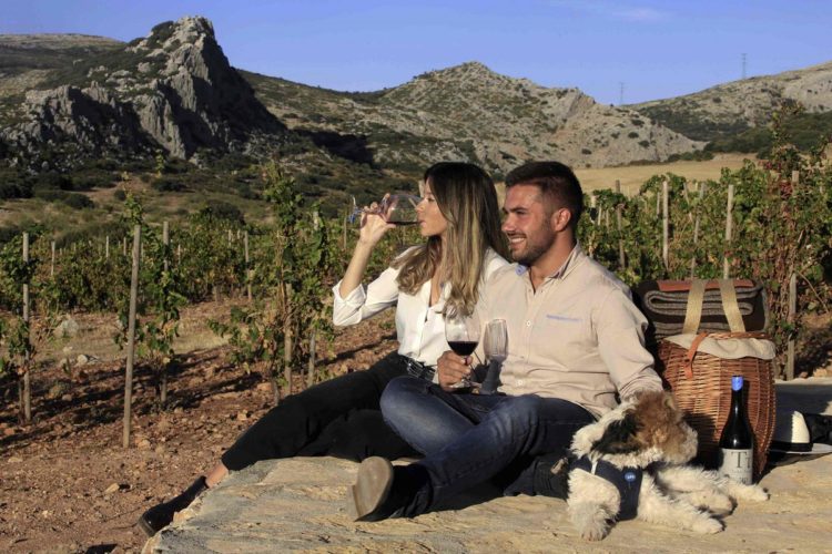 La Serranía lidera el turismo de interior en la provincia de Málaga con 13. 876 plazas de alojamiento