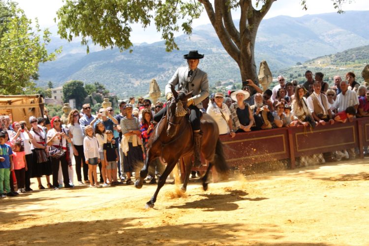 Mayo, un mes para disfrutar de Ronda