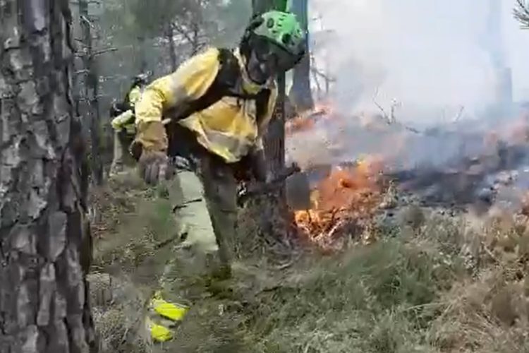 El Infoca controla un incendio que se ha declarado este sábado en el término de Genalguacil