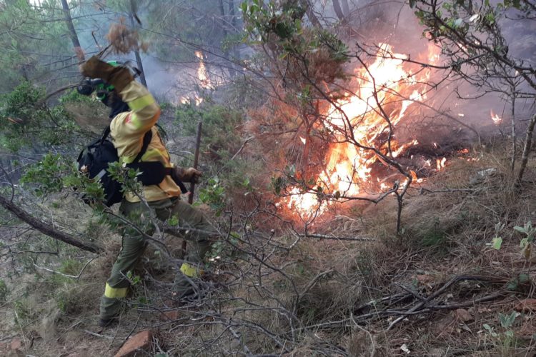 Un incendio forestal en Jubrique provoca el desalojo de al menos 13 familias