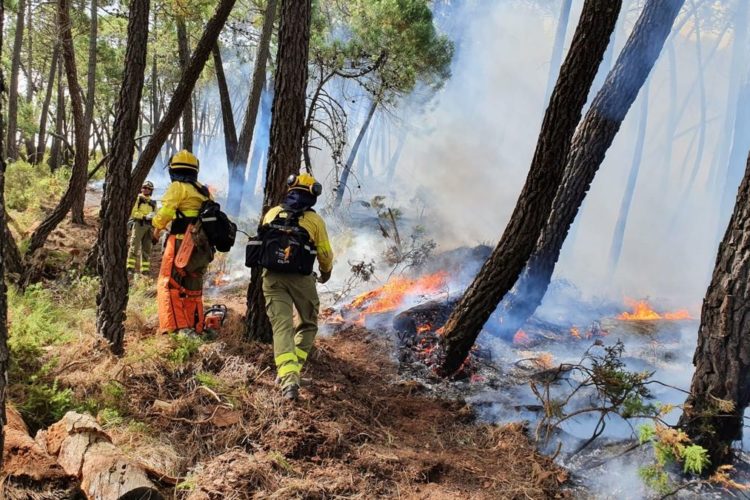 El fuerte viento reaviva las llamas dentro del perímetro del incendio de Jubrique, que sigue estabilizado