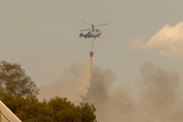 Fallece un bombero forestal en las labores de extinción del incendio de Sierra Bermeja