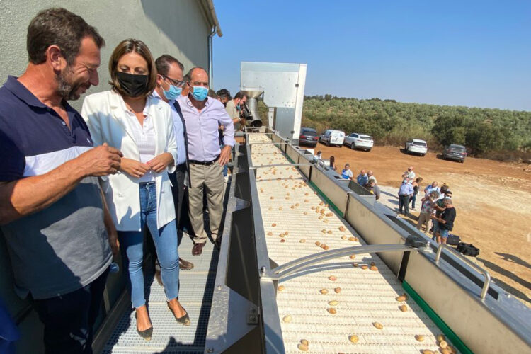 Ronda ya cuenta con una fábrica de procesado de pistachos con la tecnología más adelantada de Andalucía