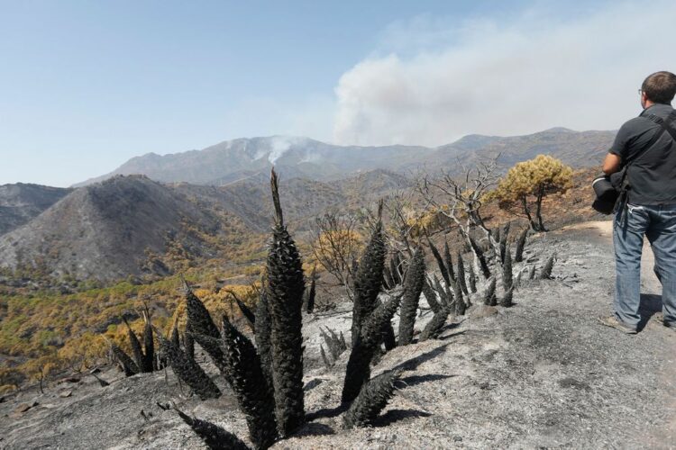 Solicitan ampliar a Sierra Bermeja la declaración de Parque Nacional para evitar más incendios forestales