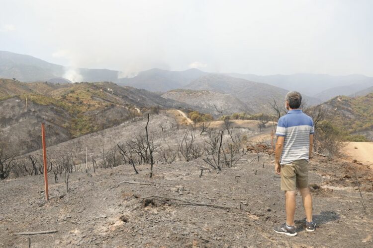 Desalojan a los más de 500 vecinos de Jubrique ante la inestabilidad del incendio de Sierra Bermeja