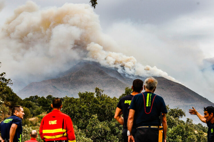 Crean una plataforma solidaria para los afectados del incendio de Sierra Bermeja
