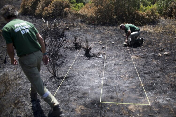 Encuentran indicios de que el incendio ha sido provocado: dos montones de hojarasca y encima una piña prendida con un mechero