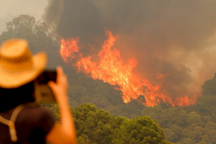 El incendio declarado en Sierra Bermeja ya ha afectado a 2.167 hectáreas de masa forestal