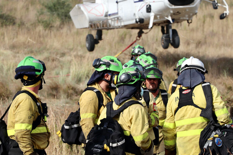 Cerca de mil efectivos siguen luchando contra el incendio de Sierra Bermeja