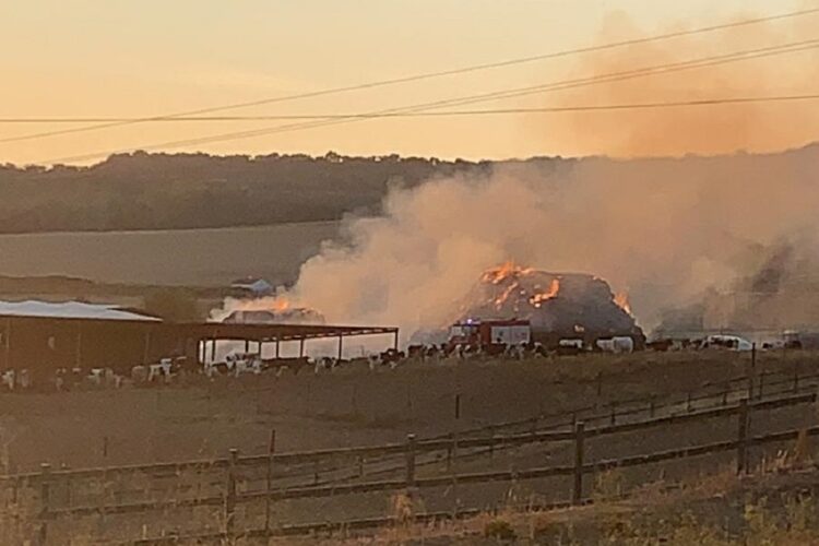 Bomberos, Infoca y policías trabajan para extinguir un incendio en una explotación ganadera de Ronda