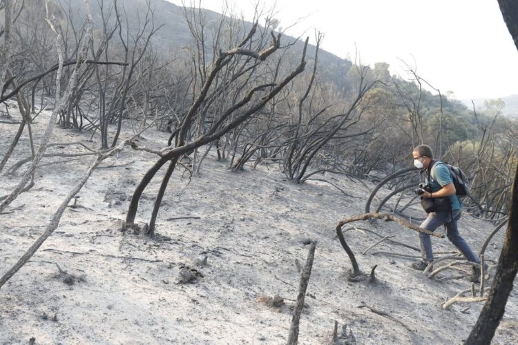 La Diputación abre el plazo para solicitar ayudas a los afectados por el incendio de Sierra Bermeja